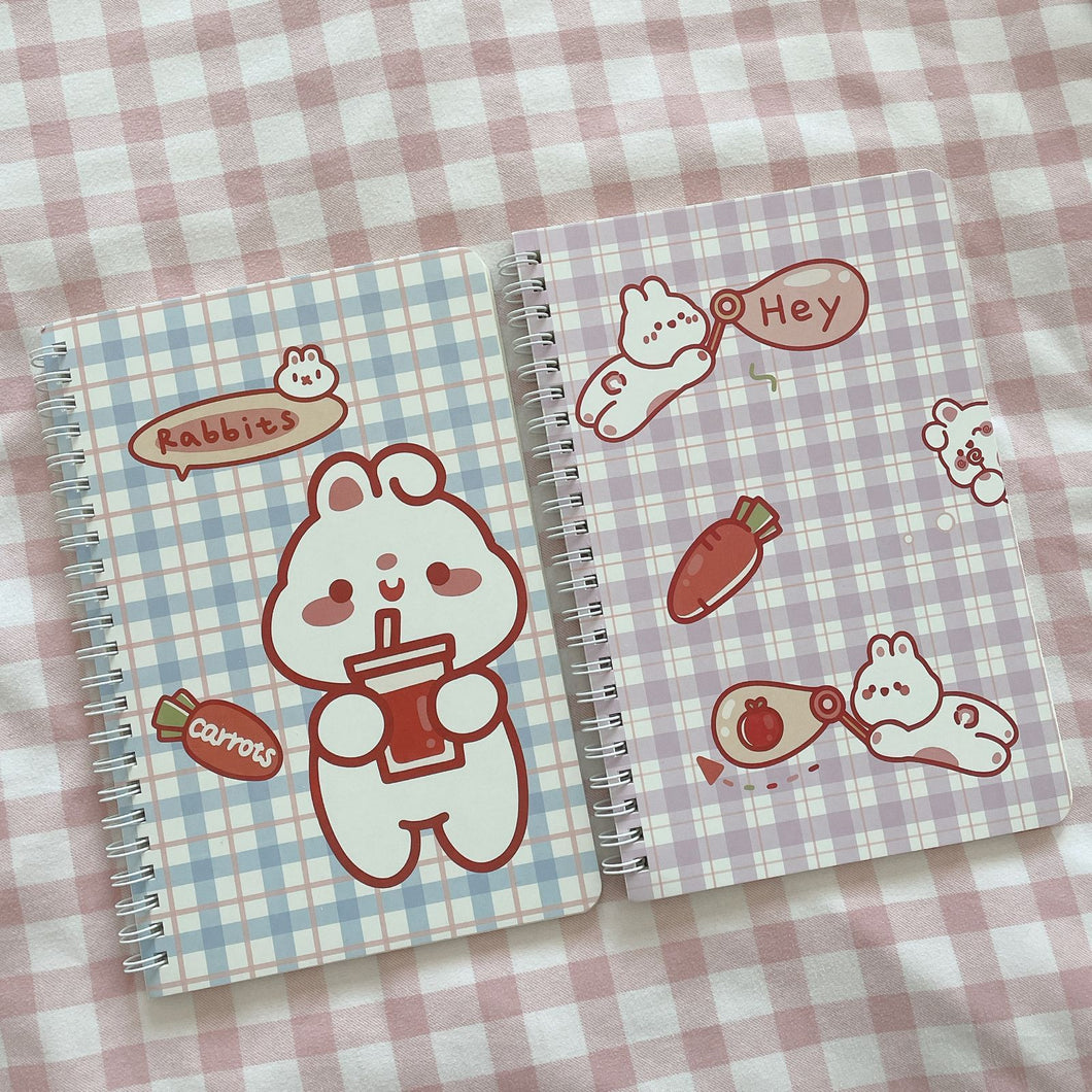 L4 - A5 notebooks